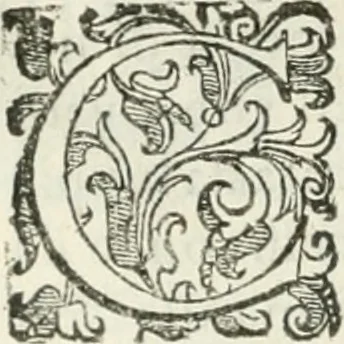 An illustration from Teatro d'imprese, 1623, leaf 997