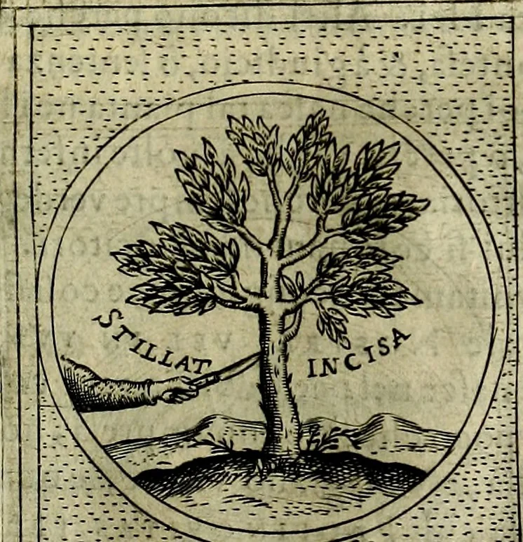 An illustration from Teatro d'imprese, 1623, leaf 1000