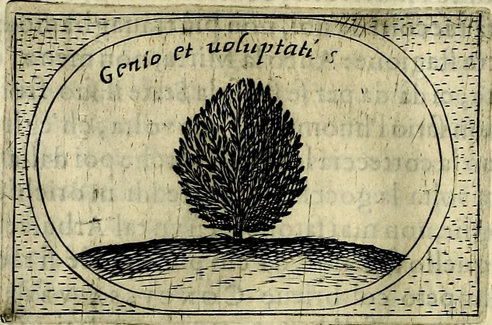 An illustration from Teatro d'imprese, 1623, leaf 1001