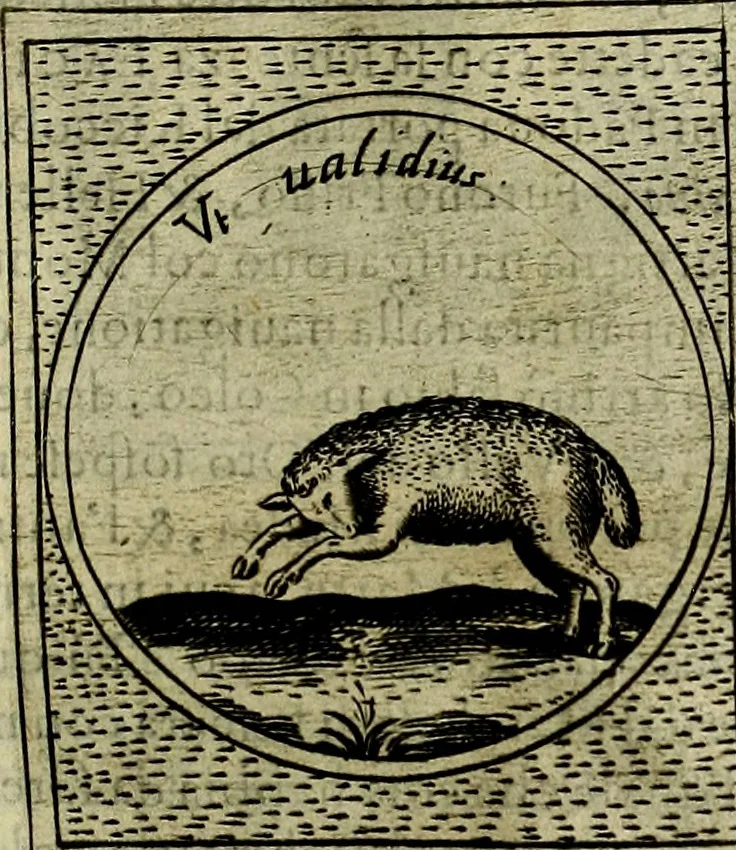 An illustration from Teatro d'imprese, 1623, leaf 1008