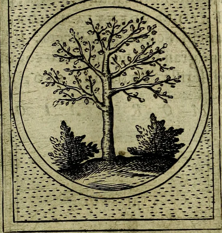 An illustration from Teatro d'imprese, 1623, leaf 1010