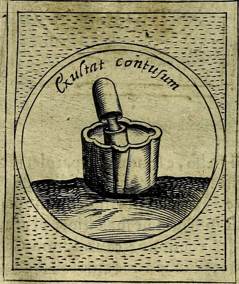 An illustration from Teatro d'imprese, 1623, leaf 1011