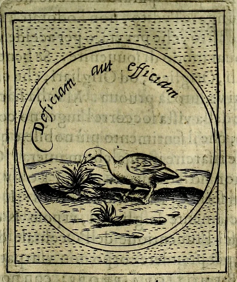 An illustration from Teatro d'imprese, 1623, leaf 1032