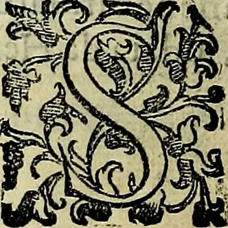 An illustration from Teatro d'imprese, 1623, leaf 1033