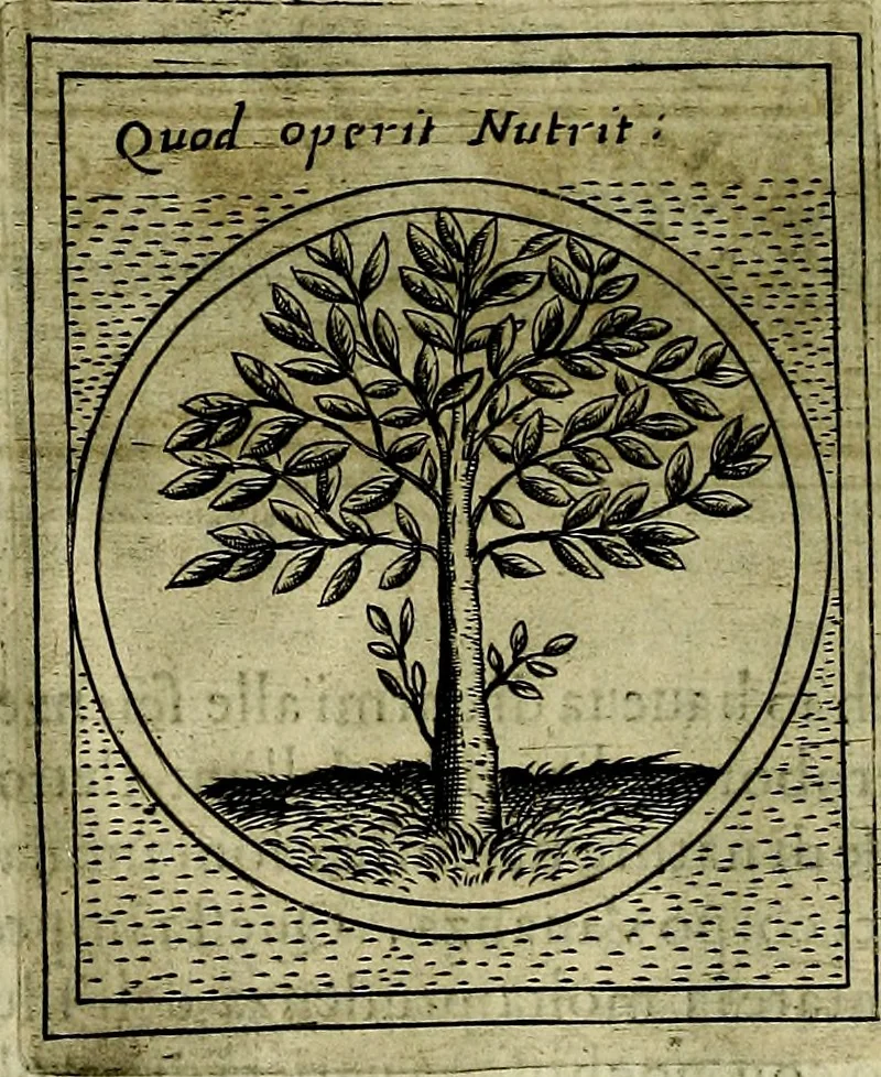 An illustration from Teatro d'imprese, 1623, leaf 1035