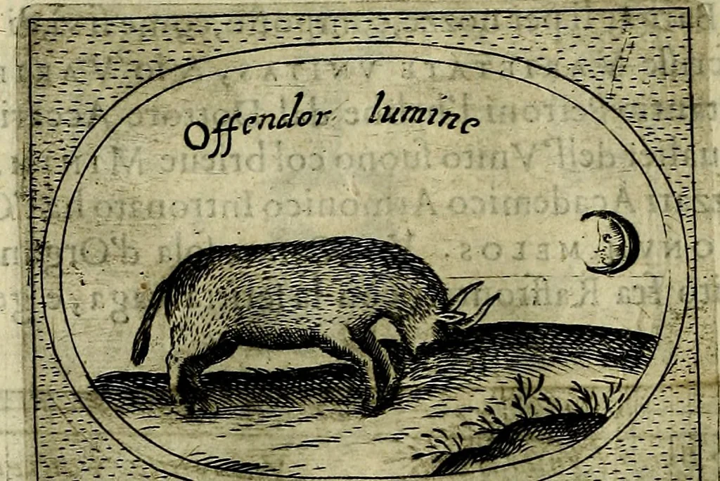 An illustration from Teatro d'imprese, 1623, leaf 1039