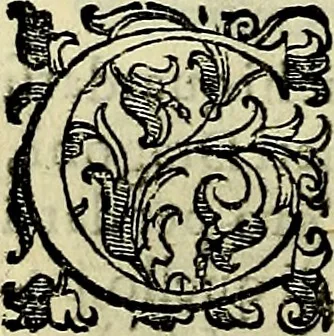 An illustration from Teatro d'imprese, 1623, leaf 1041