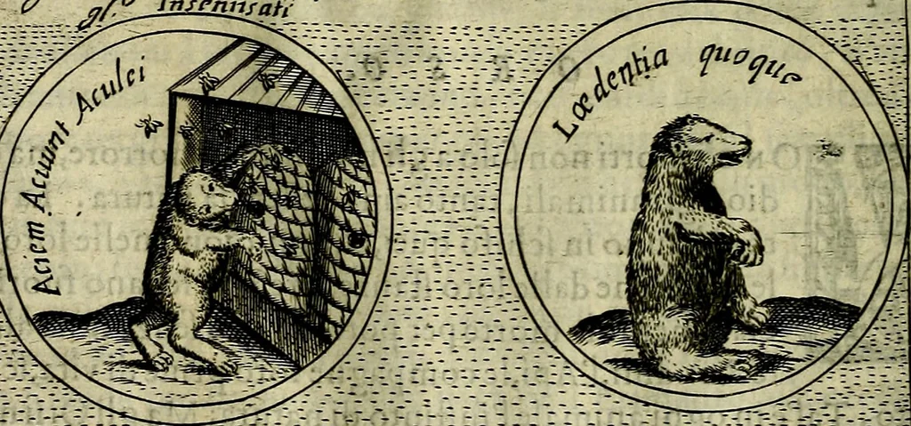 An illustration from Teatro d'imprese, 1623, leaf 1043