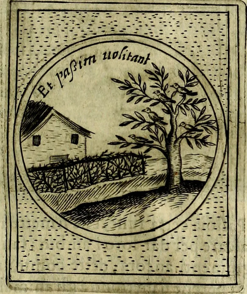 An illustration from Teatro d'imprese, 1623, leaf 1054