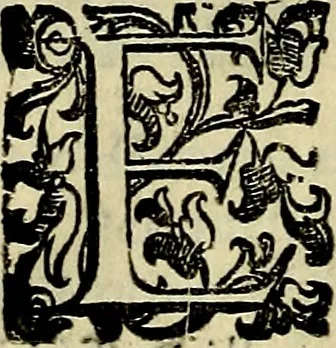 An illustration from Teatro d'imprese, 1623, leaf 1055