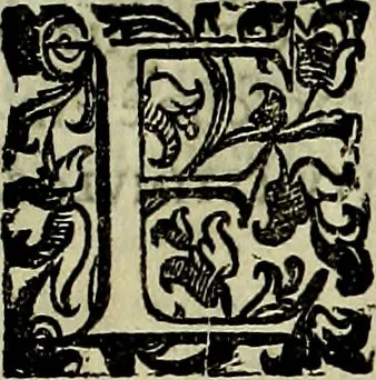 An illustration from Teatro d'imprese, 1623, leaf 1056