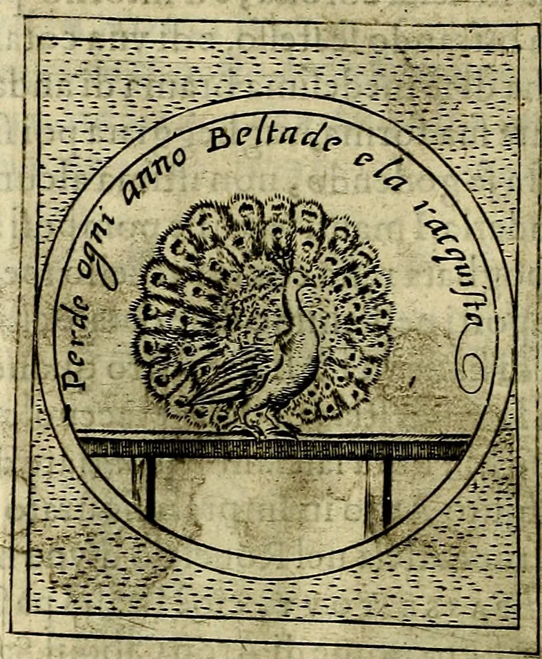 An illustration from Teatro d'imprese, 1623, leaf 1057