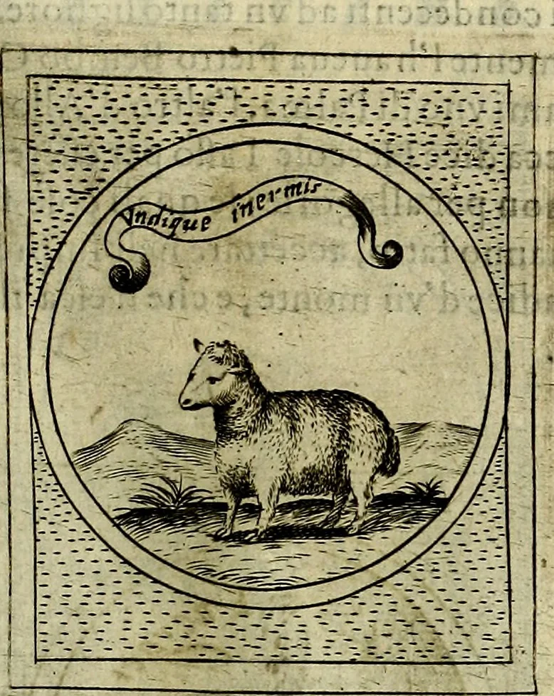 An illustration from Teatro d'imprese, 1623, leaf 1058