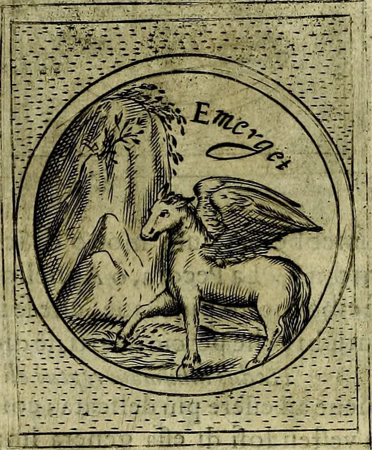 An illustration from Teatro d'imprese, 1623, leaf 1059