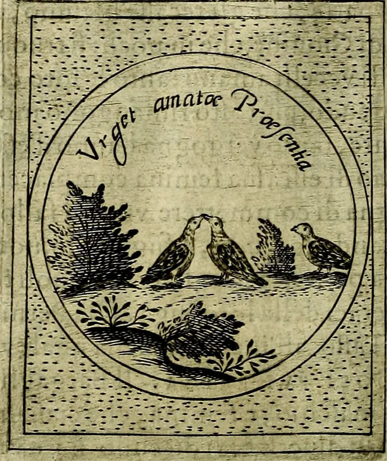 An illustration from Teatro d'imprese, 1623, leaf 1067