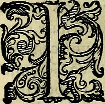 An illustration from Teatro d'imprese, 1623, leaf 1067