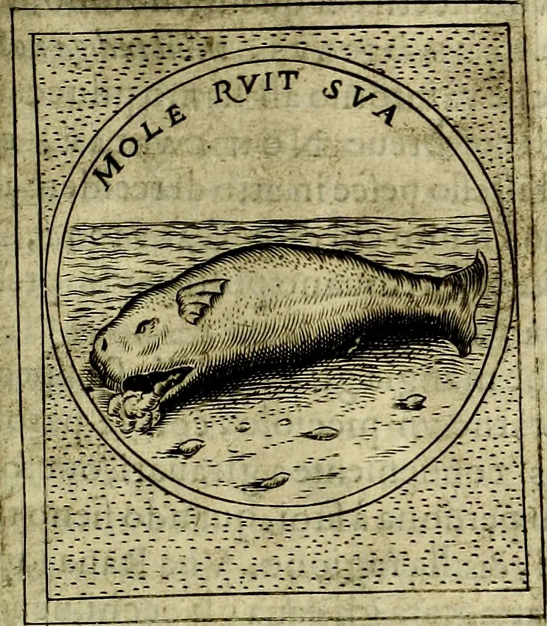 An illustration from Teatro d'imprese, 1623, leaf 1070