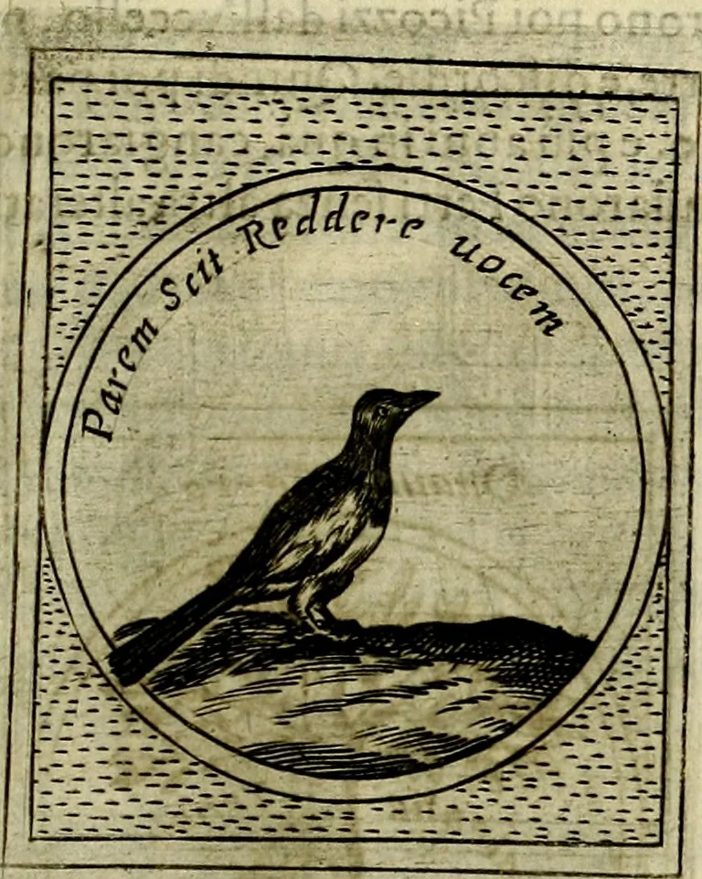 An illustration from Teatro d'imprese, 1623, leaf 1080