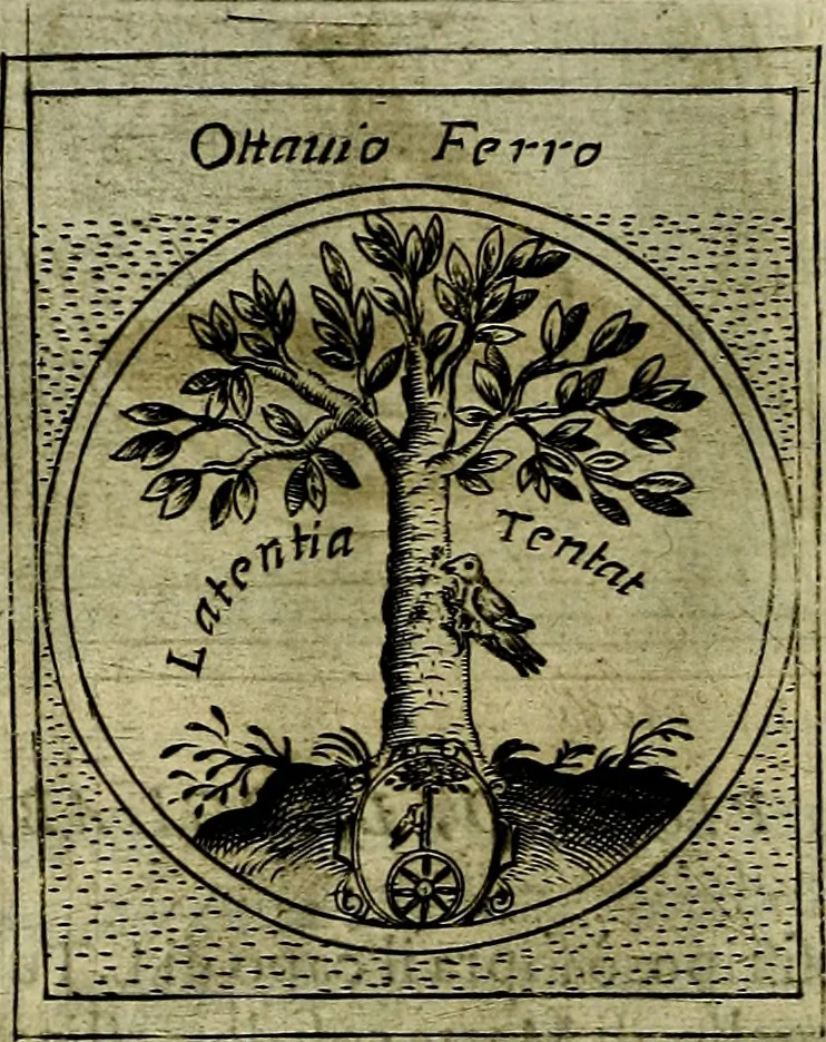 An illustration from Teatro d'imprese, 1623, leaf 1081