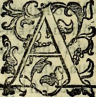 An illustration from Teatro d'imprese, 1623, leaf 1084