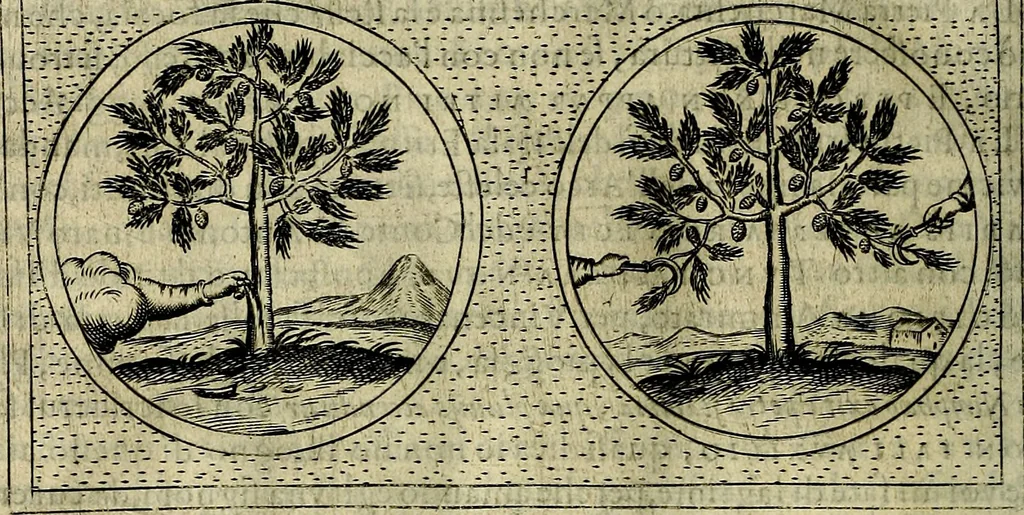 An illustration from Teatro d'imprese, 1623, leaf 1085