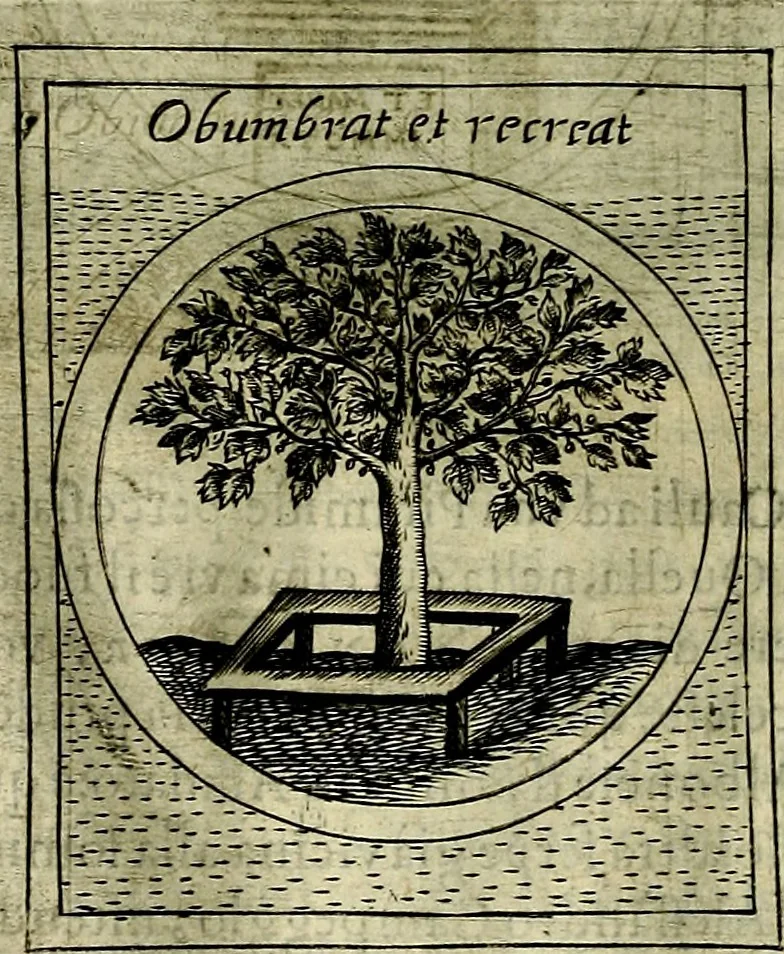 An illustration from Teatro d'imprese, 1623, leaf 1089