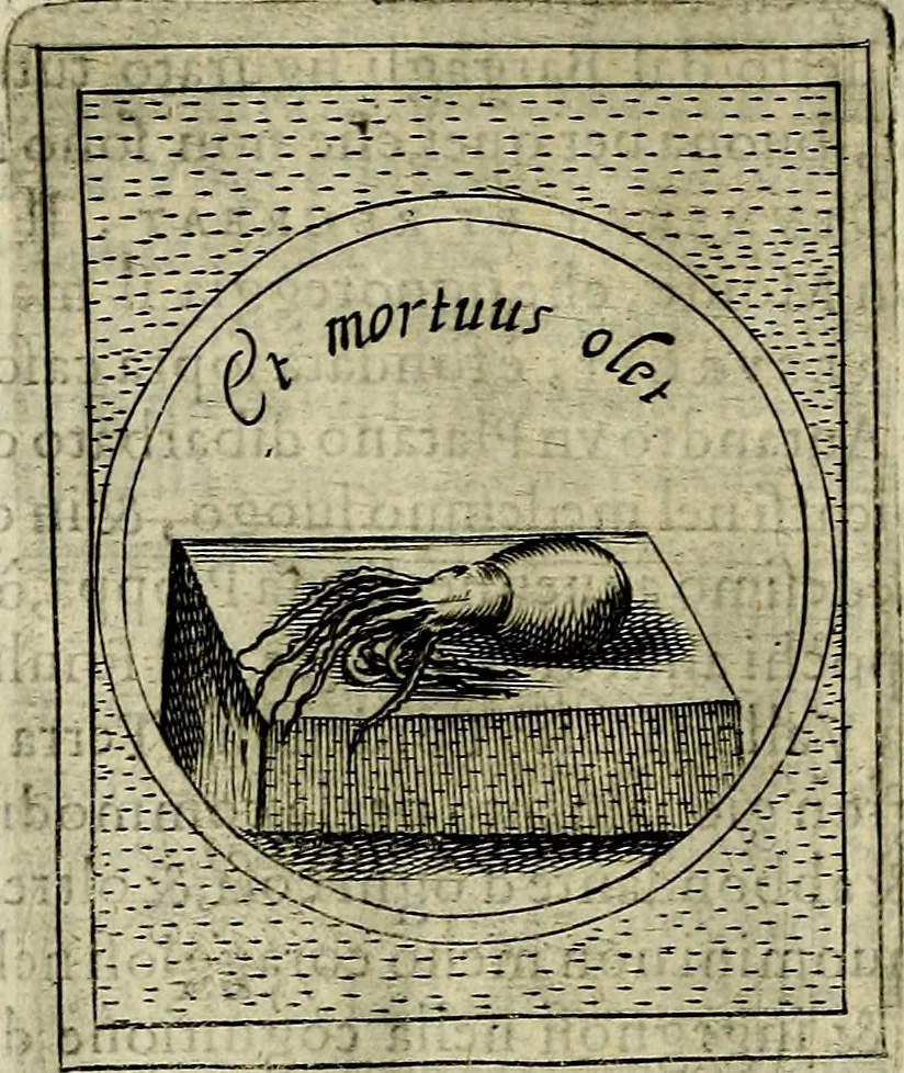 An illustration from Teatro d'imprese, 1623, leaf 1091