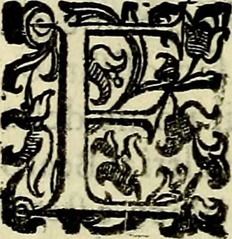 An illustration from Teatro d'imprese, 1623, leaf 1091