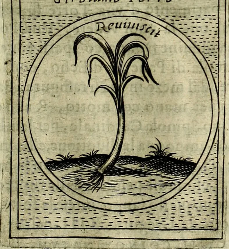 An illustration from Teatro d'imprese, 1623, leaf 1096