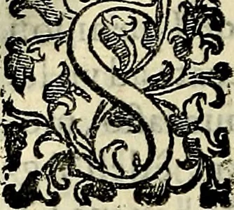 An illustration from Teatro d'imprese, 1623, leaf 1101