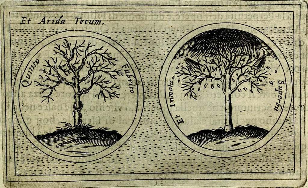 An illustration from Teatro d'imprese, 1623, leaf 1102