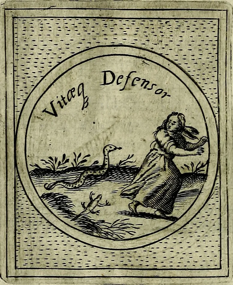 An illustration from Teatro d'imprese, 1623, leaf 1105