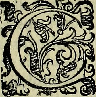 An illustration from Teatro d'imprese, 1623, leaf 1110