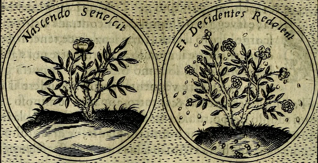 An illustration from Teatro d'imprese, 1623, leaf 1115