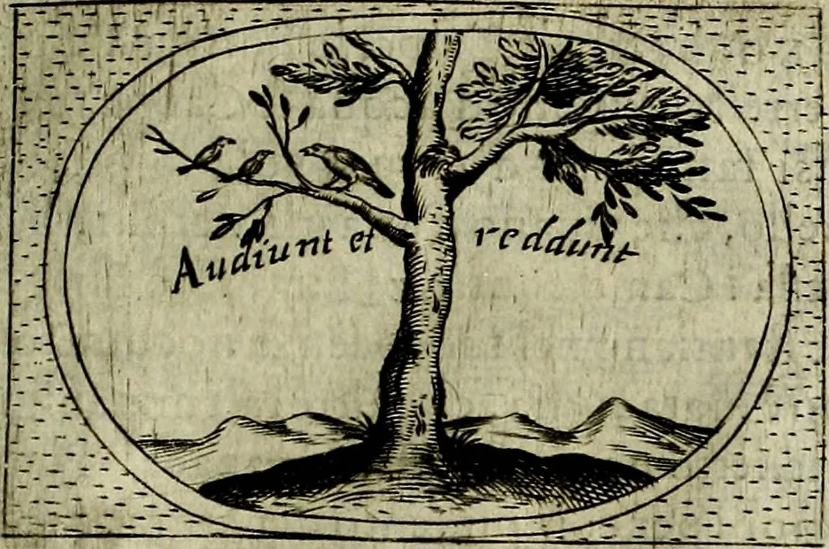 An illustration from Teatro d'imprese, 1623, leaf 1120