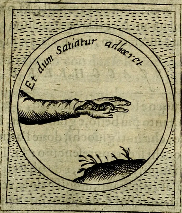 An illustration from Teatro d'imprese, 1623, leaf 1124