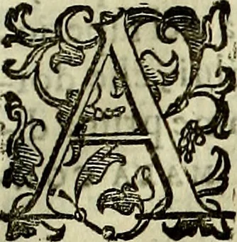 An illustration from Teatro d'imprese, 1623, leaf 1134
