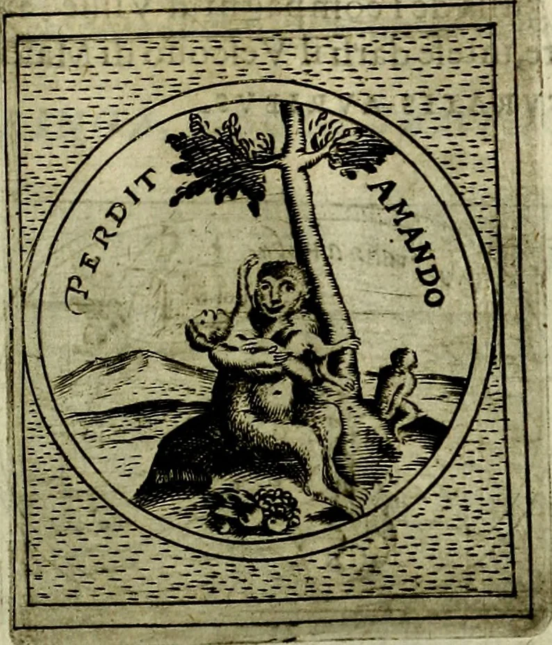 An illustration from Teatro d'imprese, 1623, leaf 1150