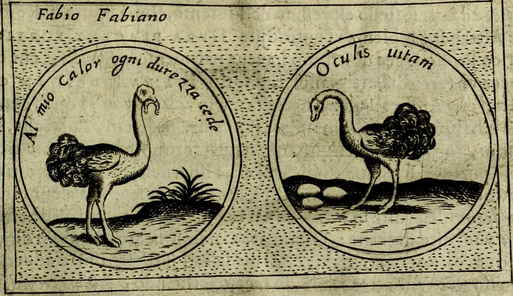 An illustration from Teatro d'imprese, 1623, leaf 1188