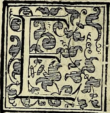 An illustration from Teatro d'imprese, 1623, leaf 1191