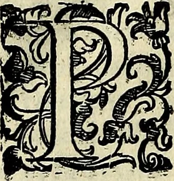 An illustration from Teatro d'imprese, 1623, leaf 1205