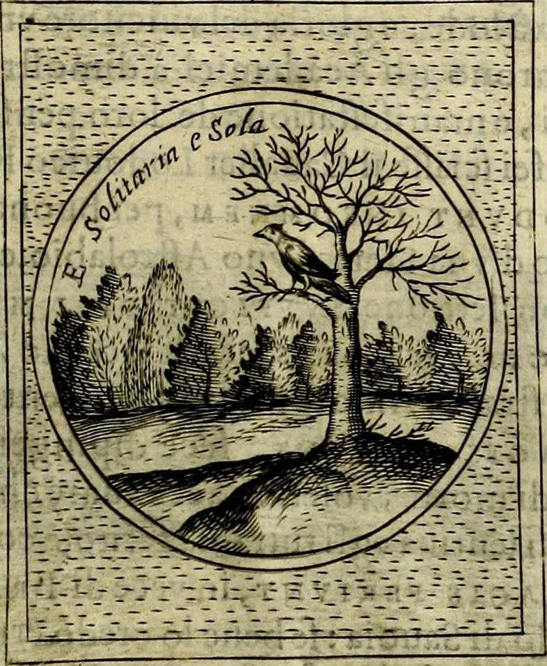 An illustration from Teatro d'imprese, 1623, leaf 1208