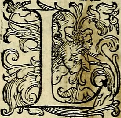 An illustration from Teatro d'imprese, 1623, leaf 1211