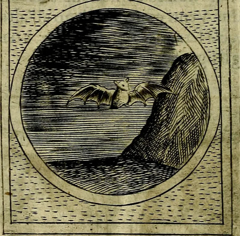 An illustration from Teatro d'imprese, 1623, leaf 1225