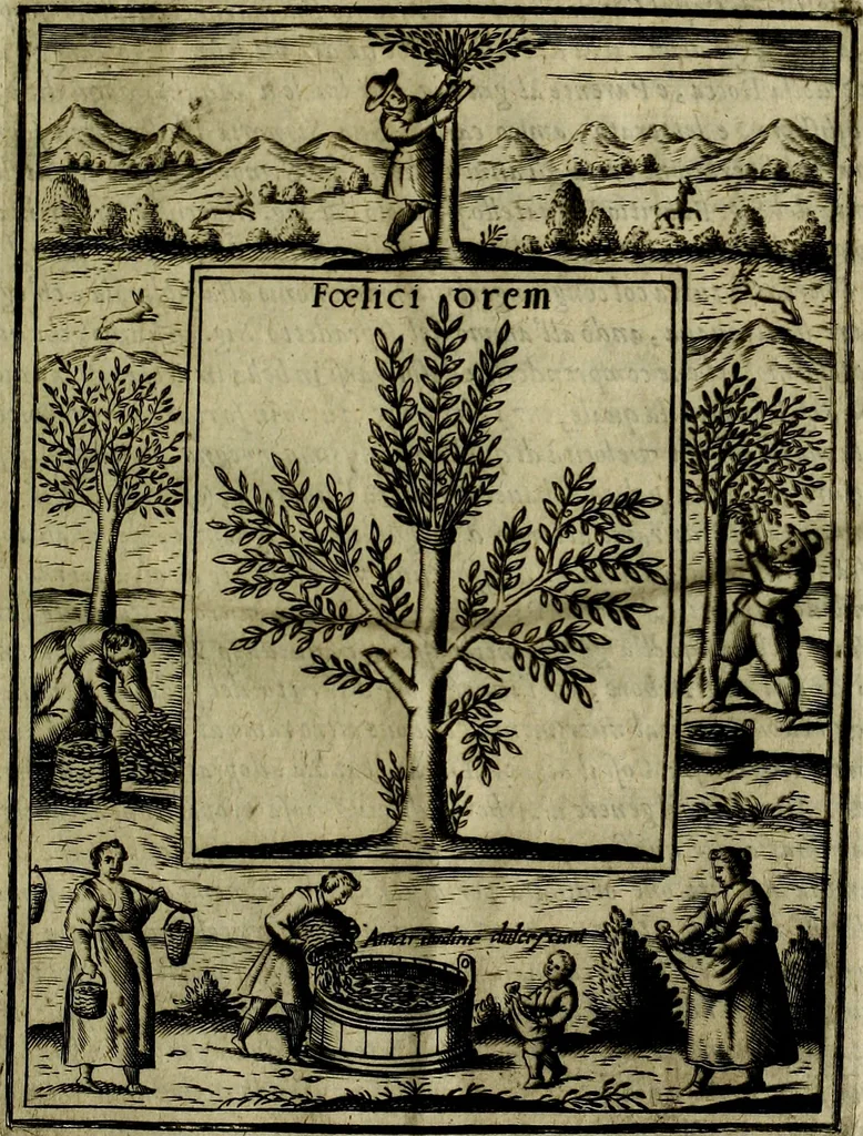 An illustration from Teatro d'imprese, 1623, leaf 1232