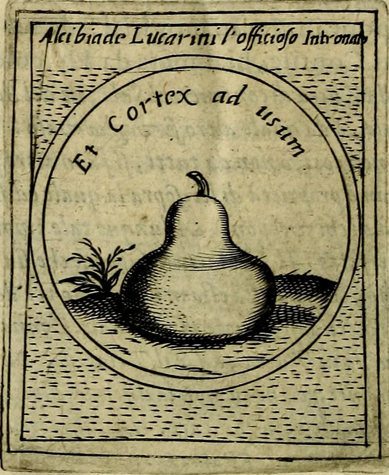 An illustration from Teatro d'imprese, 1623, leaf 1239