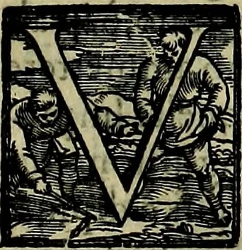 An illustration from Teatro d'imprese, 1623, leaf 134