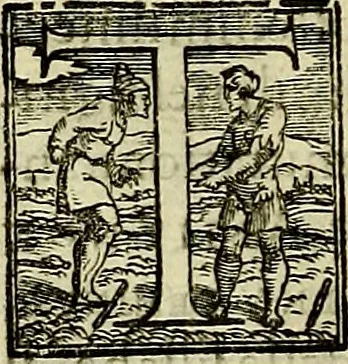 An illustration from Teatro d'imprese, 1623, leaf 199