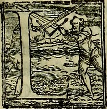 An illustration from Teatro d'imprese, 1623, leaf 252