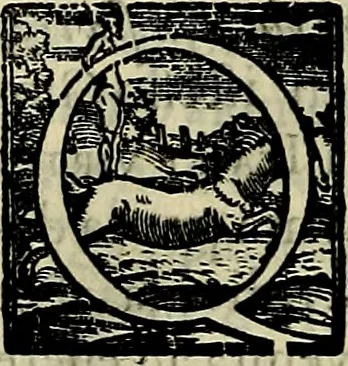 An illustration from Teatro d'imprese, 1623, leaf 277